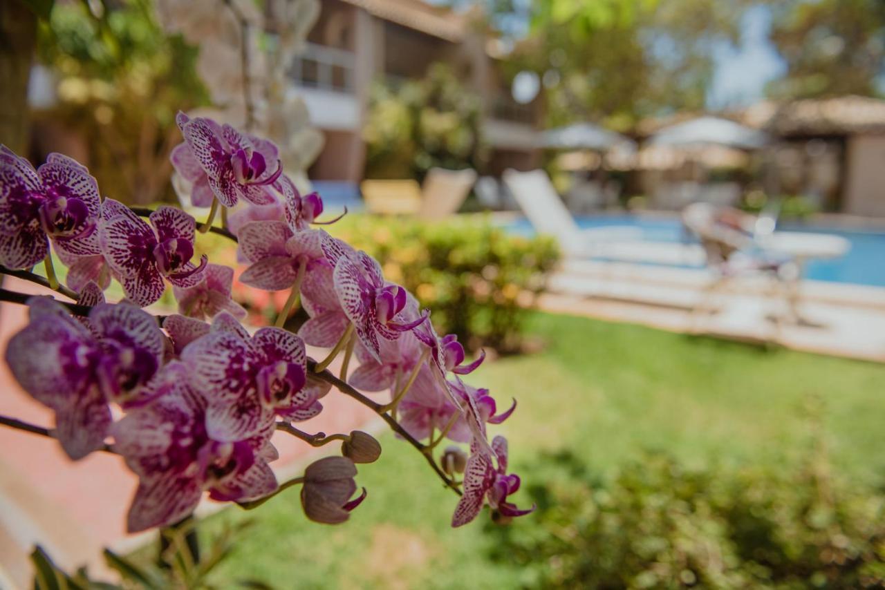 Laguna Ville 06 Itacimirim Ngoại thất bức ảnh